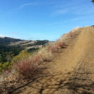The uphill portion of the hike on Indian Creek Trail and Canyon Trail intersection. Also unshaded. A good workout.