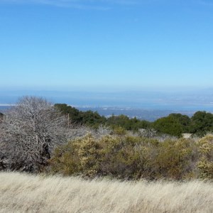 From the Black Mountain Backpack camp, there is a view of the SF Bay over hills. Hope for a clear day!