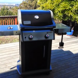 The Weber E-210 I purchased online and assembled at home.